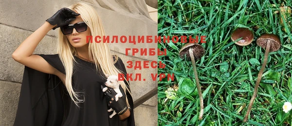 амф Абаза