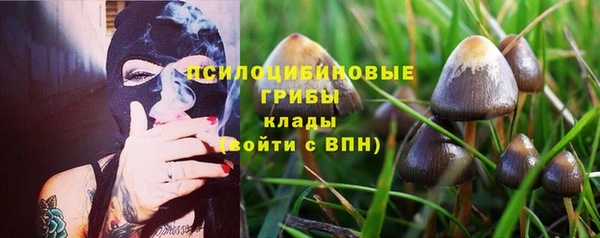 каннабис Алексеевка