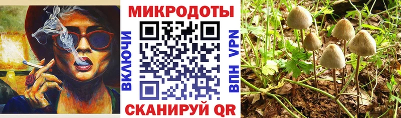 Псилоцибиновые грибы ЛСД  Сортавала 
